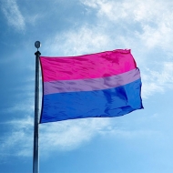 Custom Bisexual Rainbow Flag