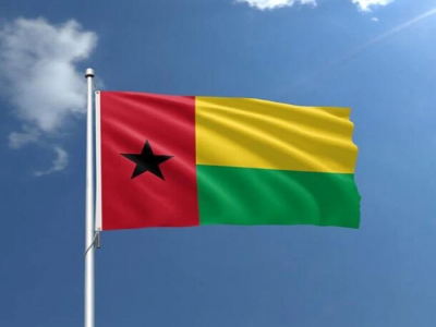 Custom in Stock Guinea-Bissau Flag