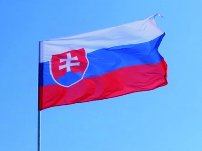 Customized 3x5ft Slovak Flag