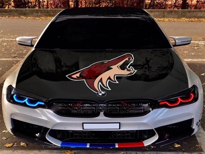 Custom NHL Arizona Coyotes car hood cover flag