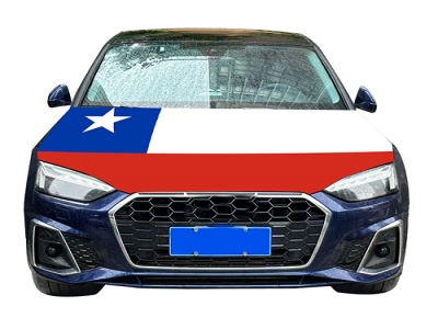 Custom Chilean car cover flag