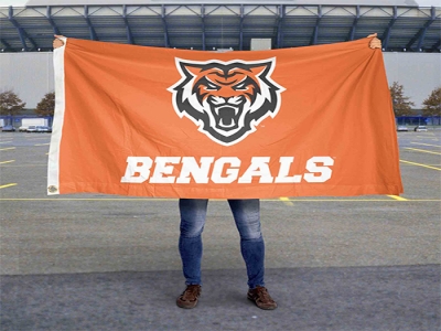 Custom Idaho State Bengals Flag