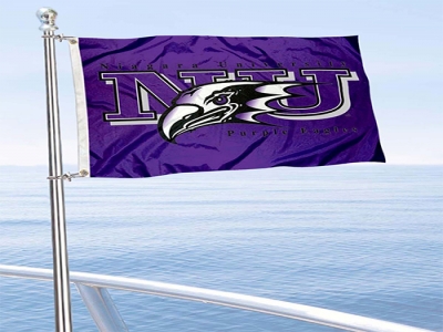 Custom NCAA Niagara Purple Eagles Flag