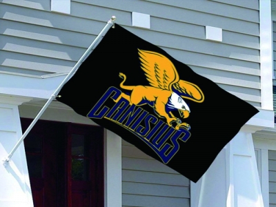 Customized NCAA Canisius Golden Griffiths Flag