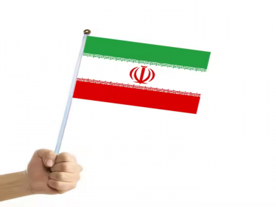 Customized Iran hand waving flag