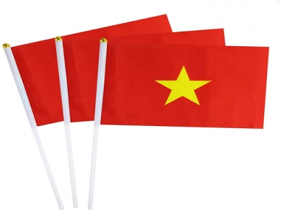 Custom Vietnam Hand Flag