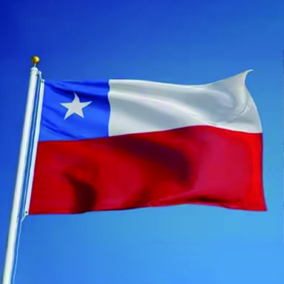 Customized polyester 3x5ft Chilean flag