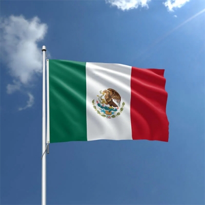 Custom Mexico Flag