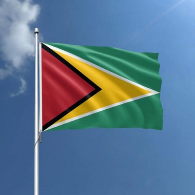 Custom in Stock Guyana Flag