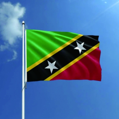 Customized 3x5ft Saint Kitts and Nevis flag