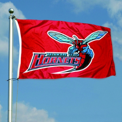 Customize NCAA Delaware Hornet Flag