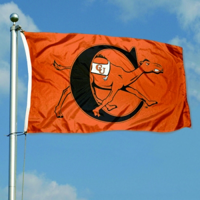 Customized NCAA Campbell Fighting Camels Flag